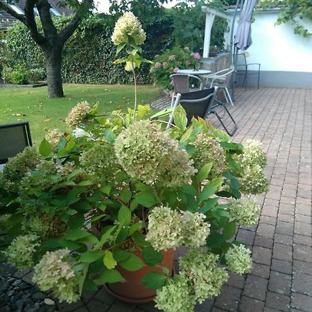 Ferienwohnung Kirschbluete Billigheim-Ingenheim Zewnętrze zdjęcie