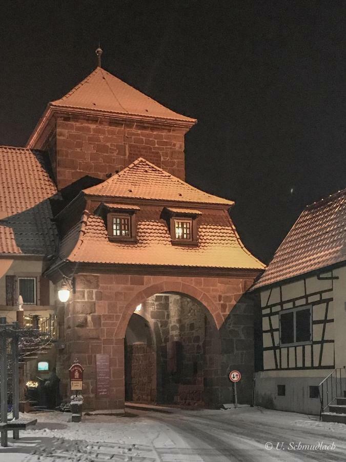 Ferienwohnung Kirschbluete Billigheim-Ingenheim Zewnętrze zdjęcie