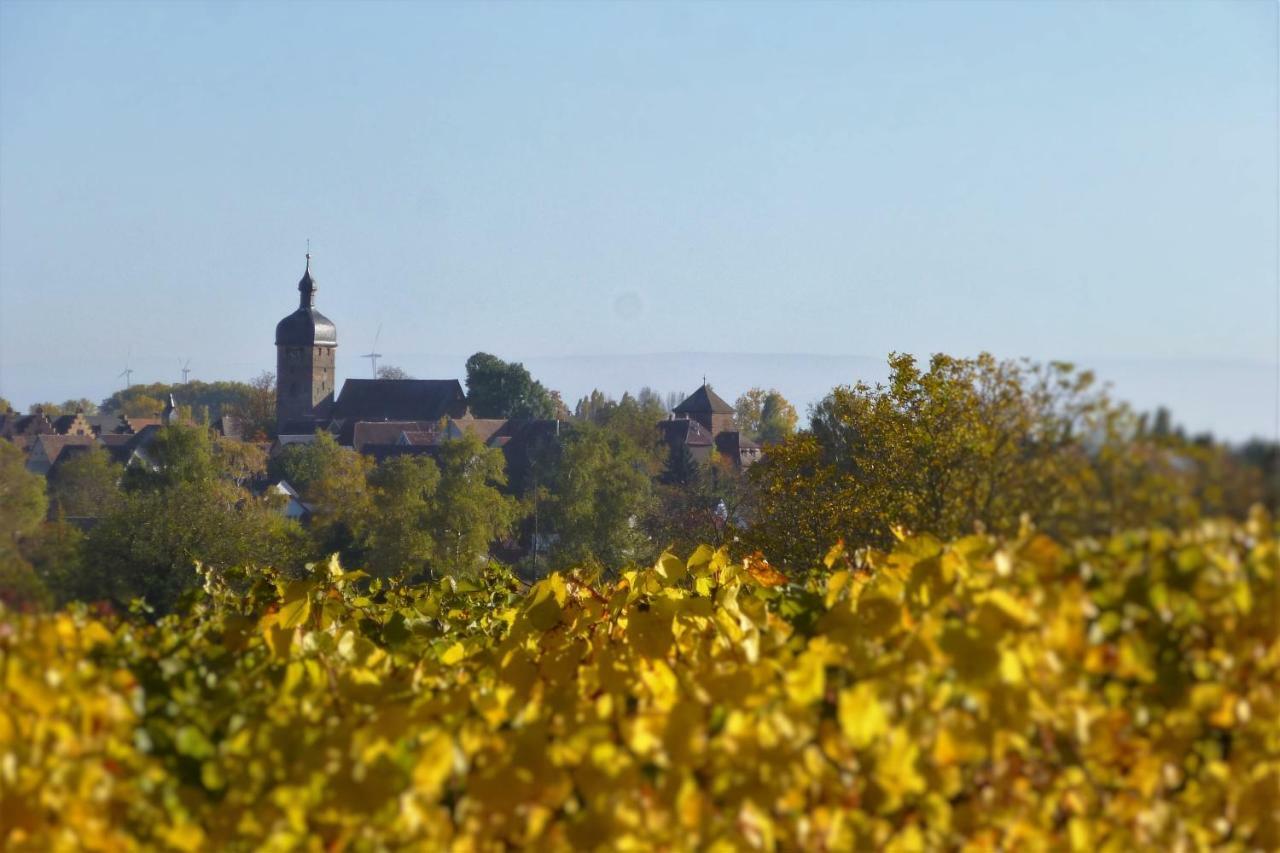Ferienwohnung Kirschbluete Billigheim-Ingenheim Zewnętrze zdjęcie